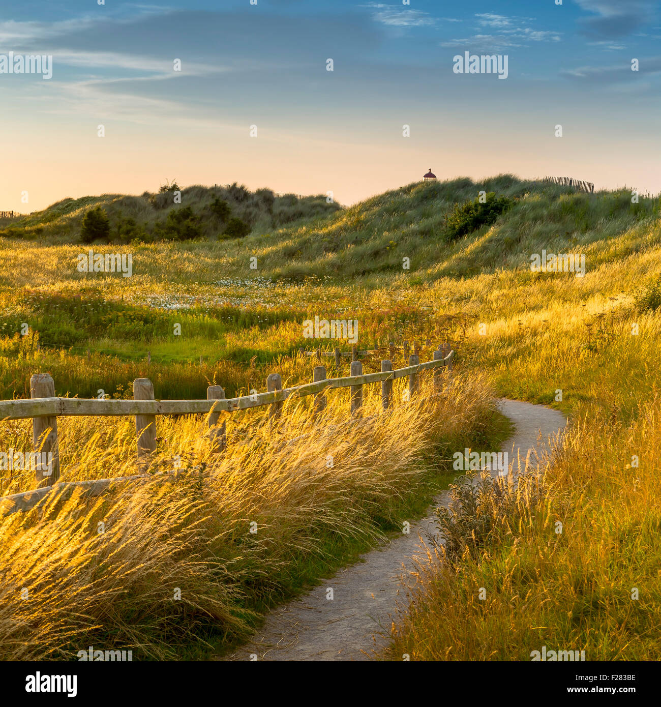 Weg durch Talacre Dünen. Stockfoto