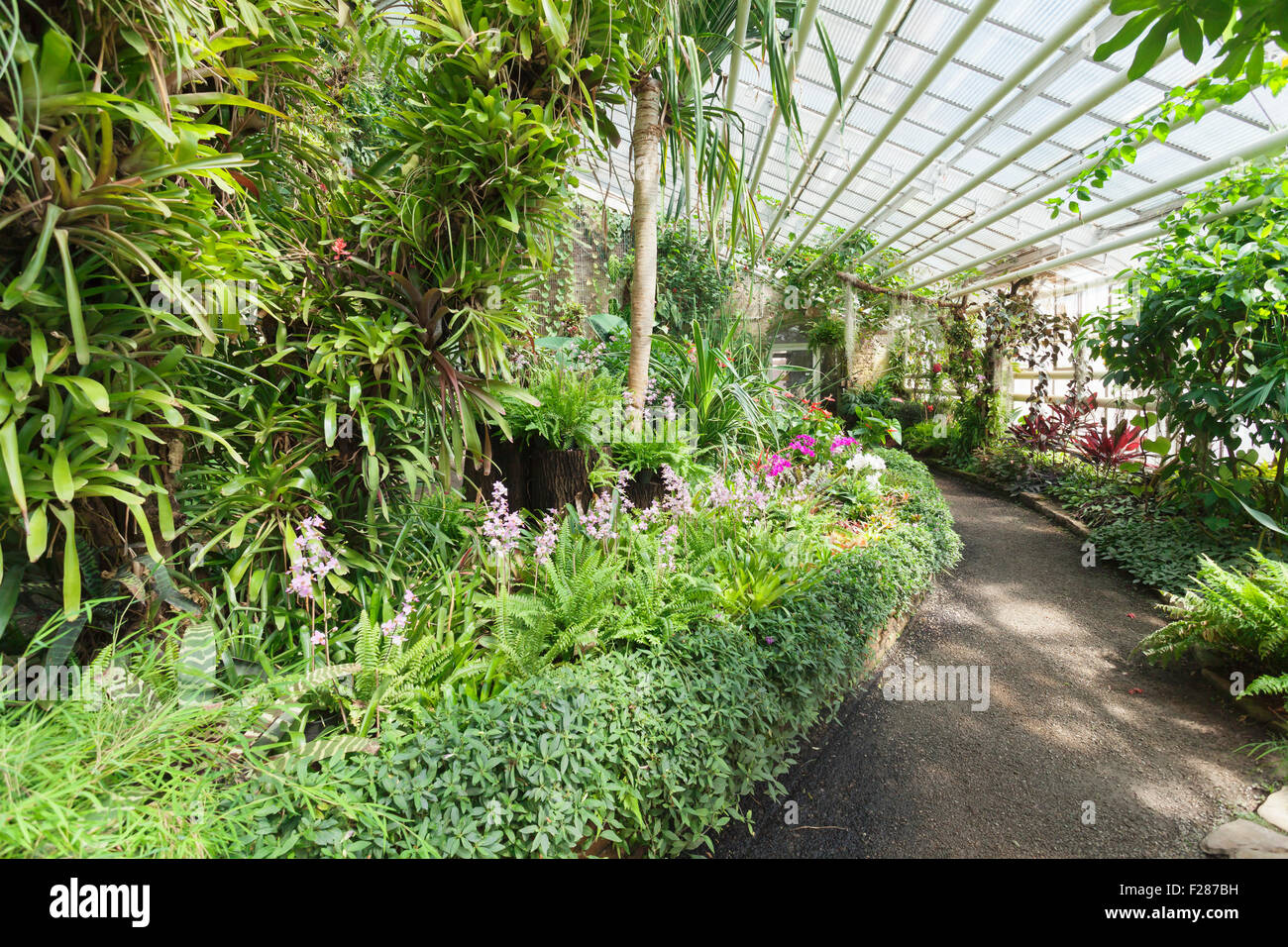 Gewächshaus, Botanischer Garten, Karlsruhe, Baden