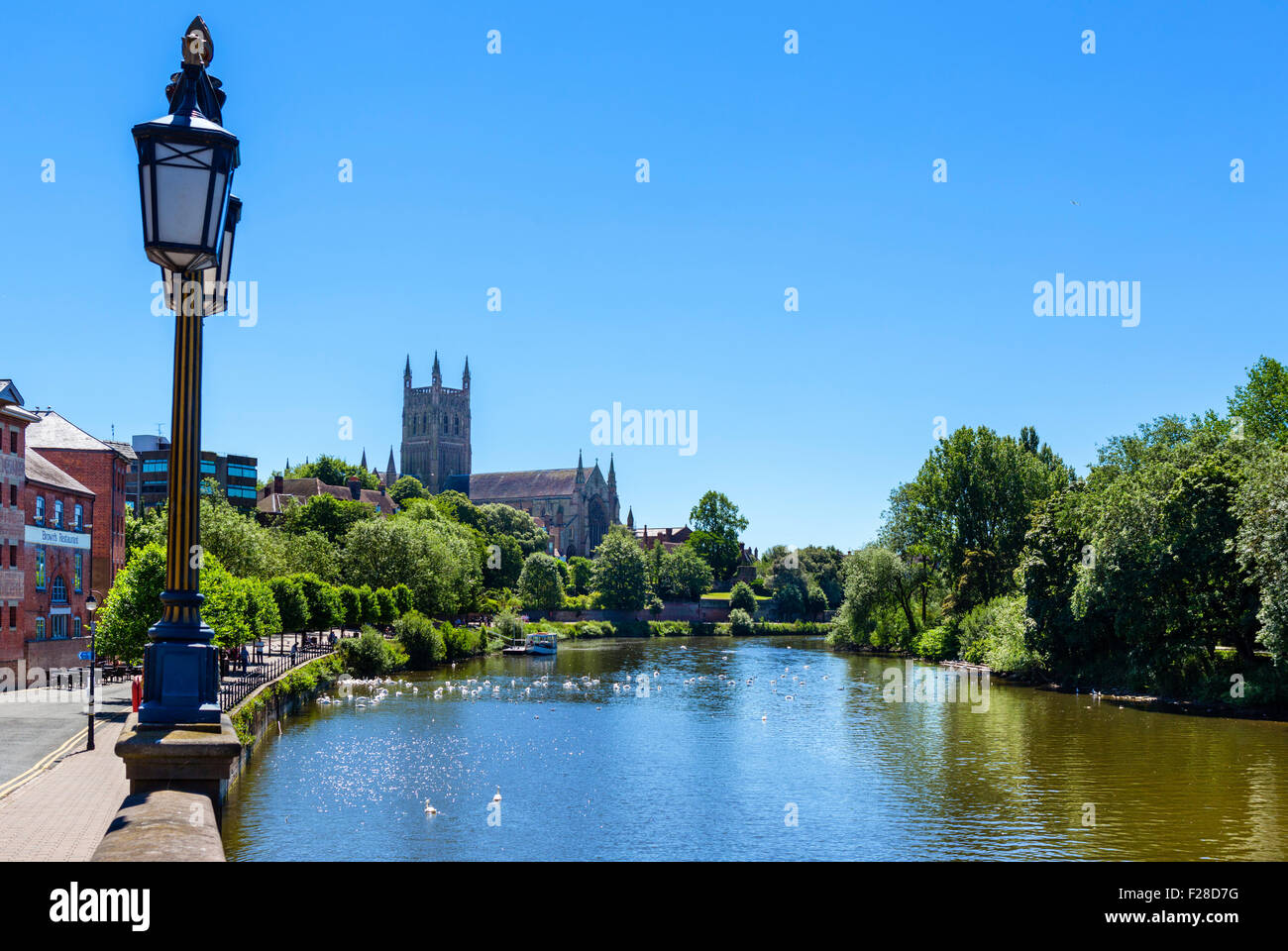 Fluss Severn und Worcester Cathedral, Worcester, Worcestershire, England, Vereinigtes Königreich Stockfoto