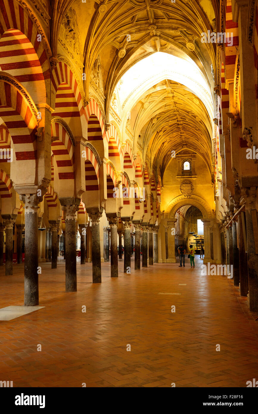 Innenraum der Mezquita Catedral (Moschee-Kathedrale) in Córdoba, Andalusien, Spanien Stockfoto