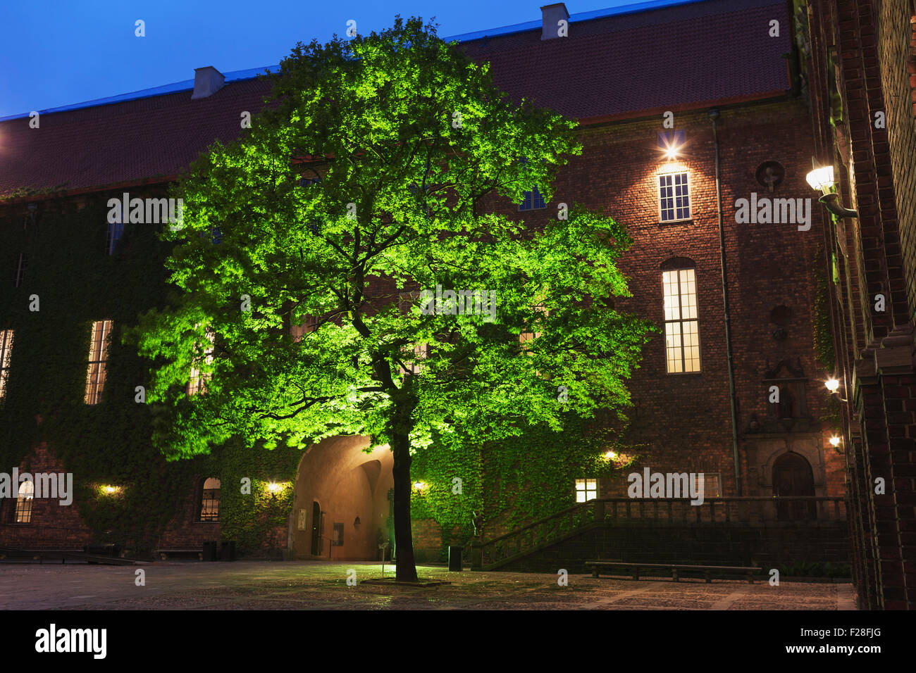 Baum vor Stadthaus in der Abenddämmerung, Stockholm, Schweden Stockfoto