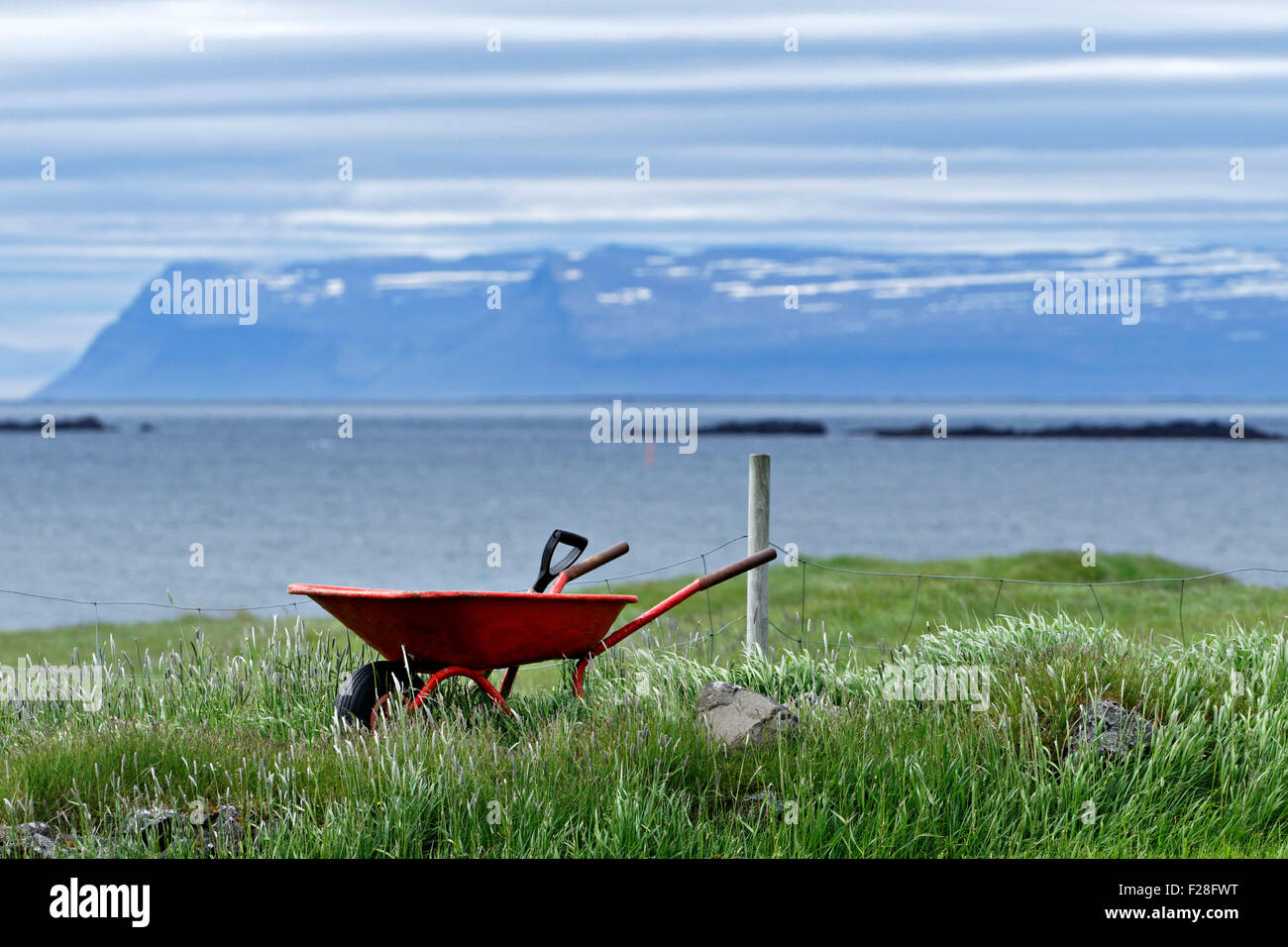 Rote Schubkarre auf dem grünen Rasen in Fjord-Landschaft, Flatey Insel, Island, Europa. Stockfoto