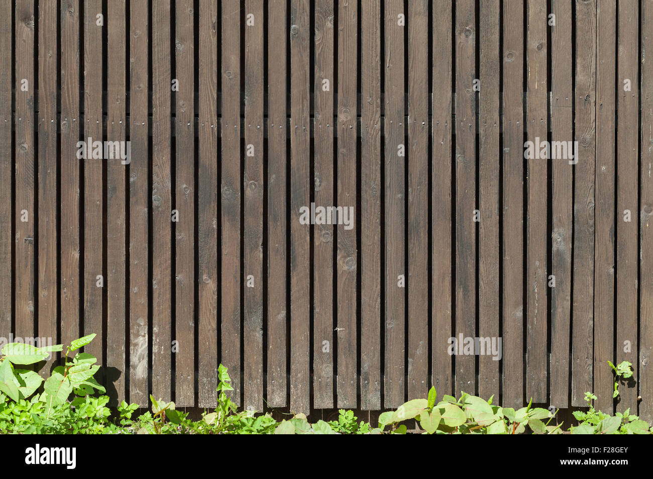Alte braune Holzzaun mit grünen Rasen, Foto Hintergrundtextur Stockfoto