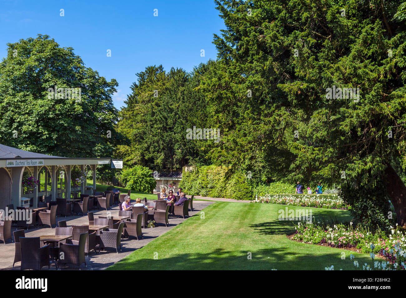 Die Herzogin Teestube in Woburn Abbey, Woburn, Bedfordshire, England, Vereinigtes Königreich Stockfoto
