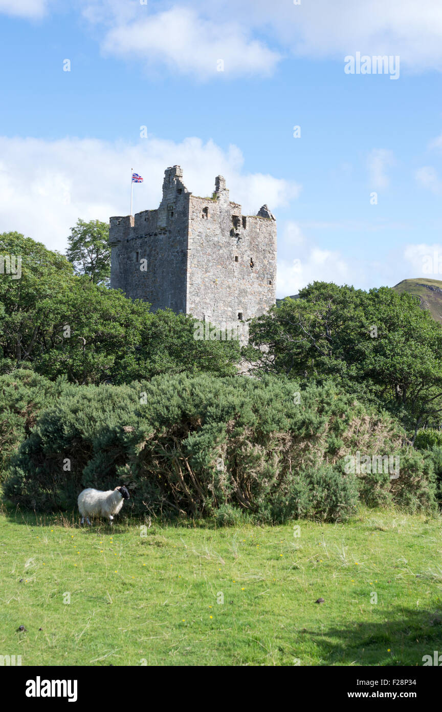Moy Castle, Loch Buie, Isle of Mull, Inneren Hebriden, Argyle und Bute, Scotland, Großbritannien Stockfoto