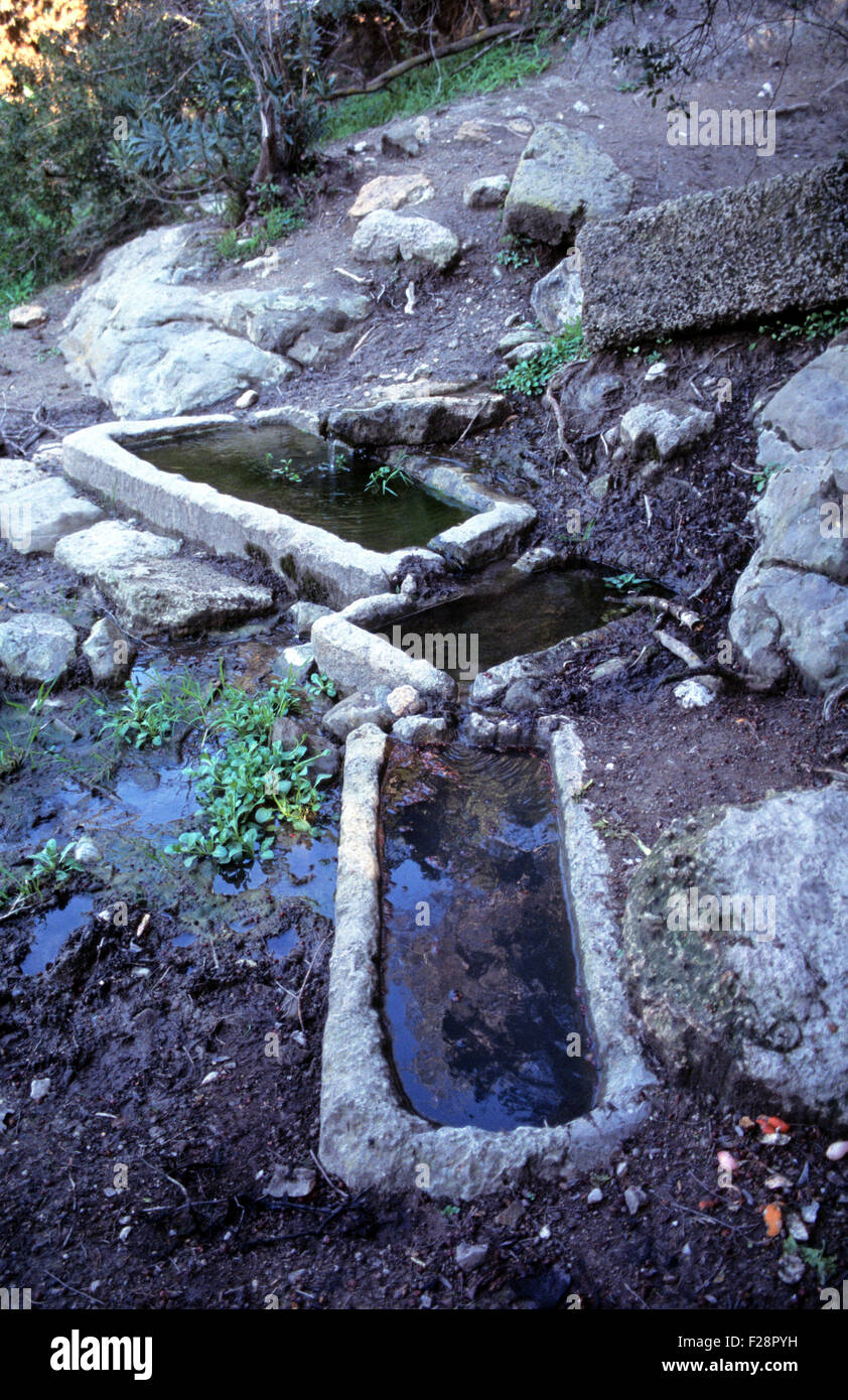 Antike Zisterne gehauenen Stein über eine Feder im Wald entdeckt, Yeni Erenkoy, Karpaz Halbinsel, Nord-Zypern Stockfoto