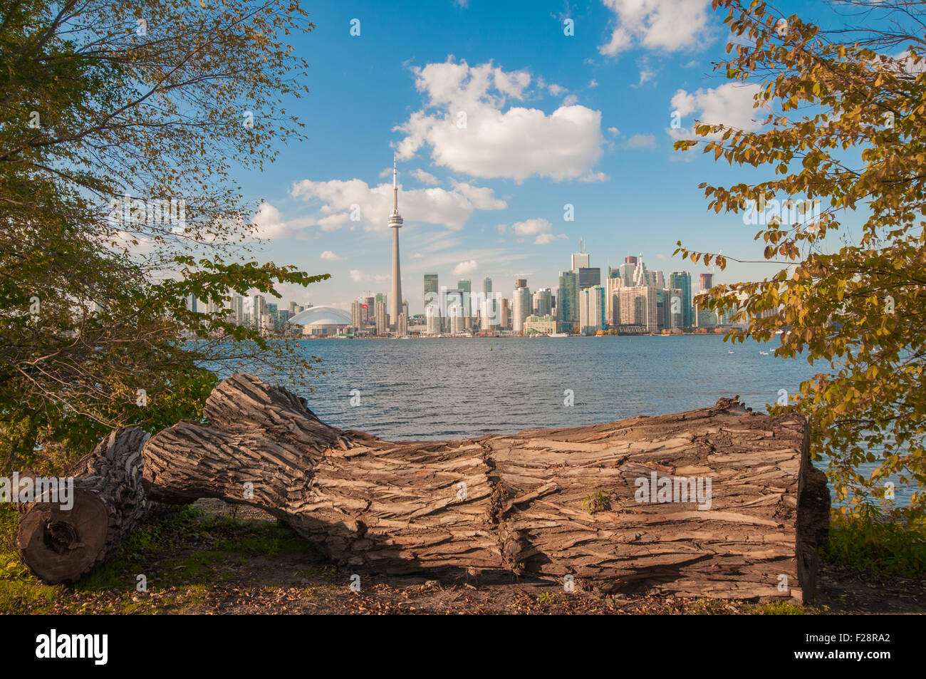 Blick auf Toronto Skyline vom Zentrum der Insel mit saisonalen Herbst Bäume Stockfoto