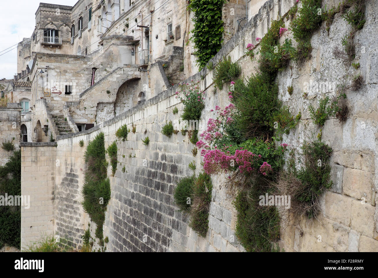 Calcarenitic Felswand mit Unkraut in Sasso Barisano, Matera. Stockfoto