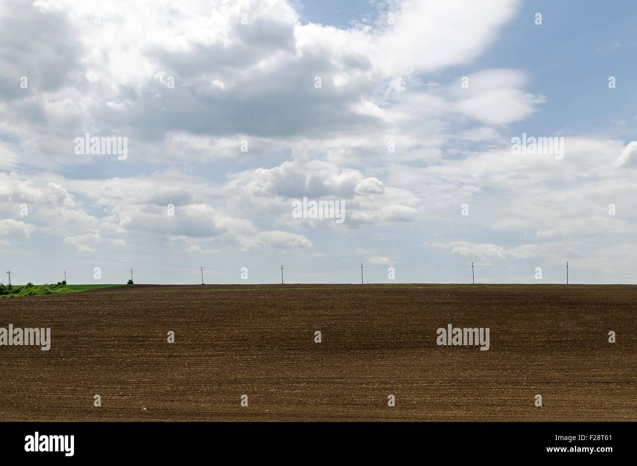 Brachliegendes Feld im Frühling, Ludogorie, Bulgarien Stockfoto
