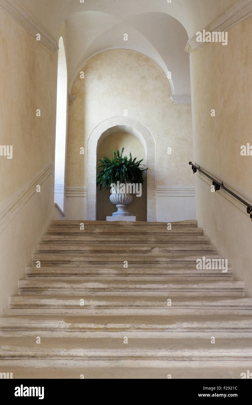 Eine reich verzierte Topfpflanze am oberen Ende einer Treppe. Stockfoto