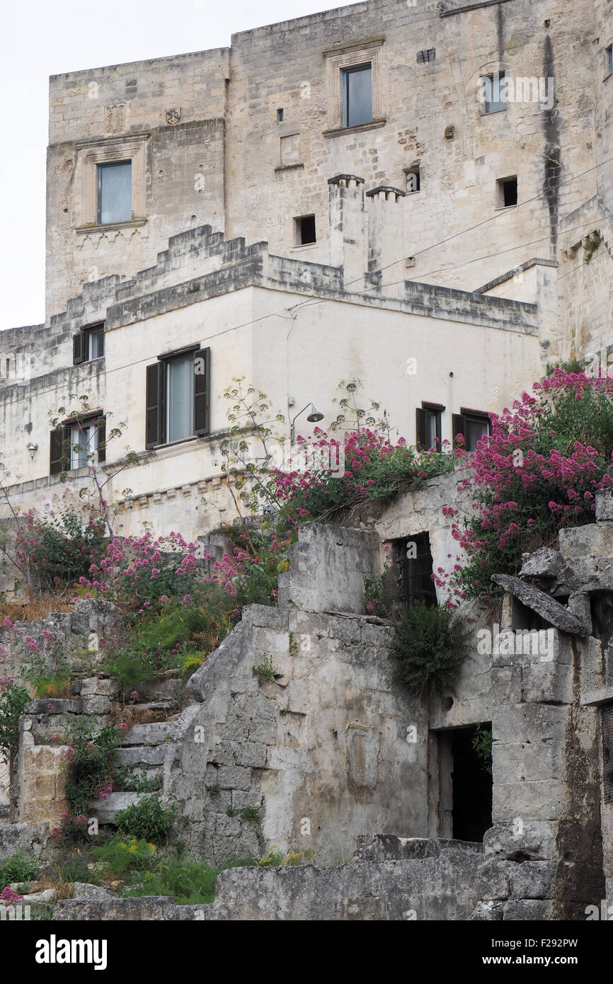 Rosa blühende Unkraut überwuchert eine Treppe im alten Sassi di Matera. Stockfoto