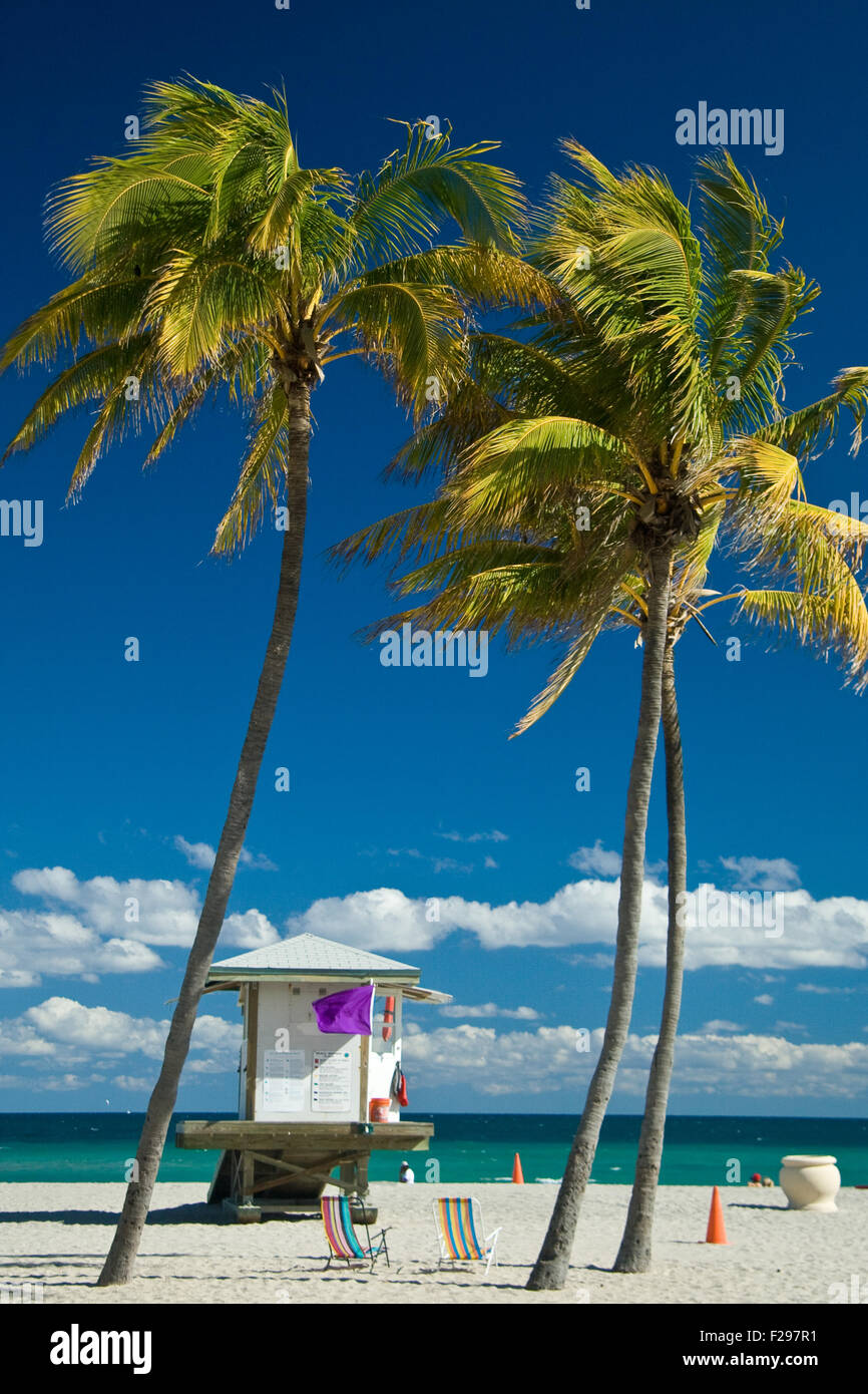 Rettungsschwimmer-Hütte am Miami Beach mit Palmen im Vordergrund, Florida, U.S.A. Stockfoto