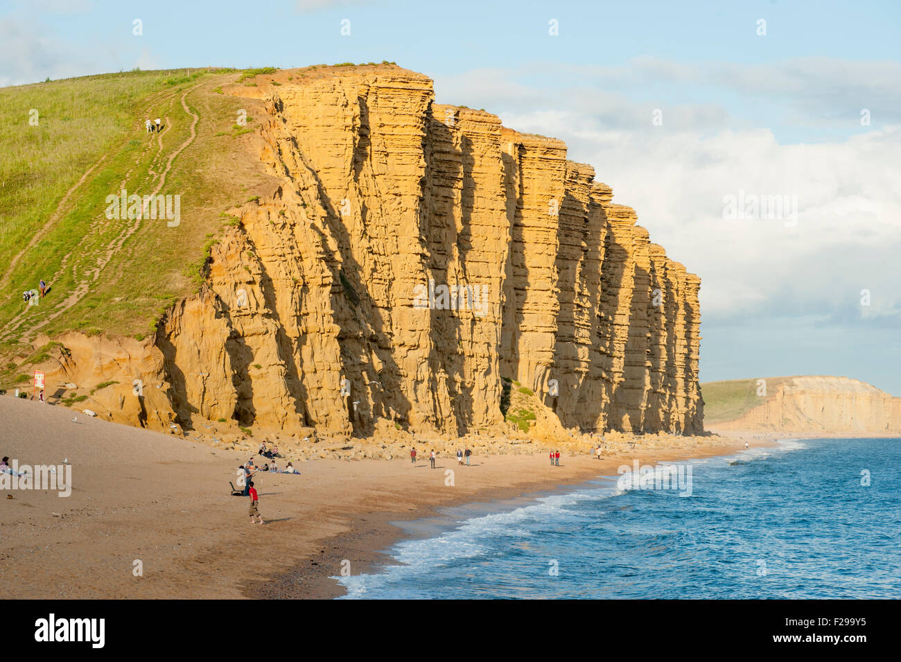 Die Klippen der Jurassic Coast in der Nähe von West Bay, Bridport, Dorset, England, UK. Stockfoto