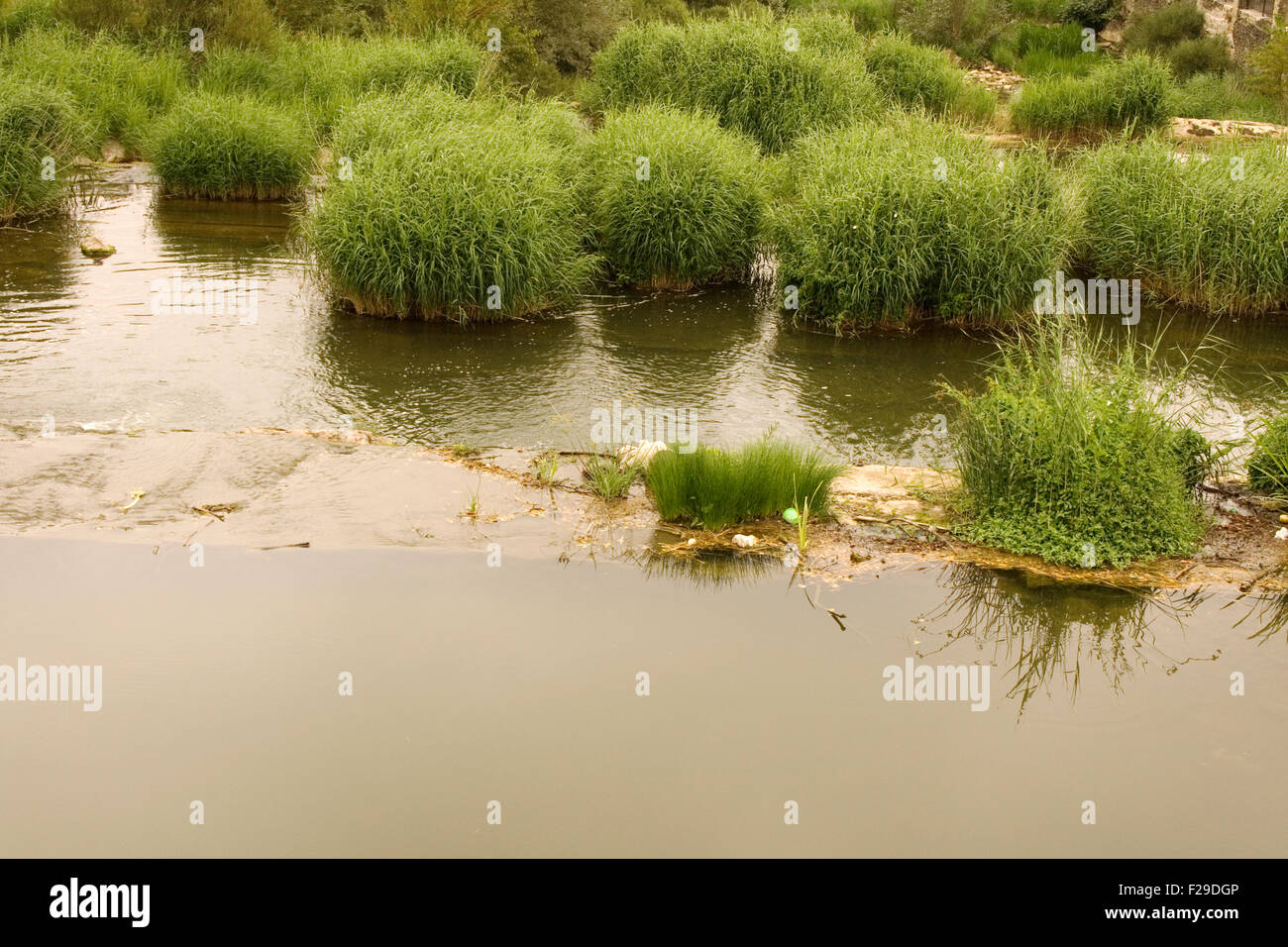 Weg zum teich Fotos und Bildmaterial in hoher Auflösung Alamy