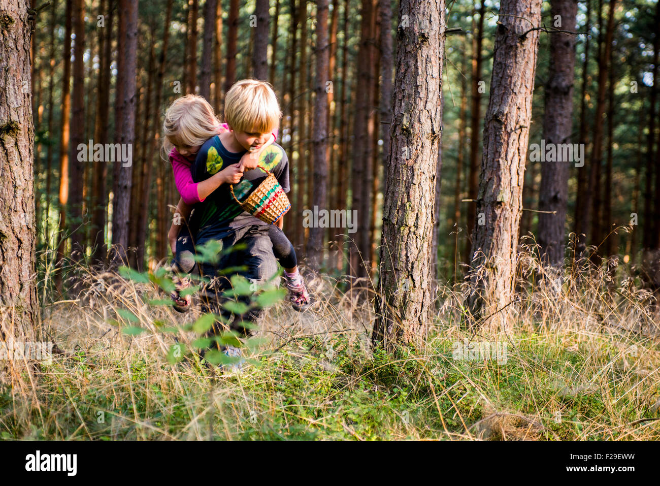 Kleiner Junge geben junge Mädchen lächelnd Huckepack Natur, Wald, Wald, Holz, Sommer, Urlaub, Geschwister, spielende Kinder, Kind Stockfoto