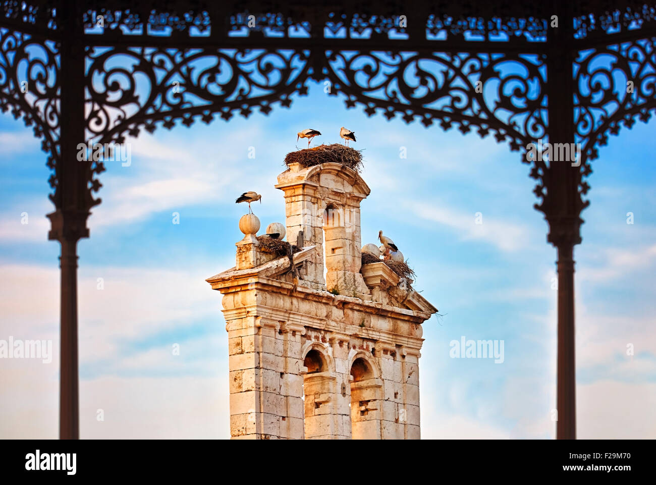 Störche in das Colegio Mayor de San Ildefonso Belfry. Gemeinschaft von Madrid, Spanien. Stockfoto