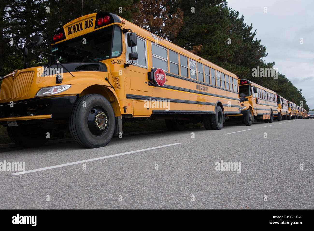Schulbusse Stockfoto