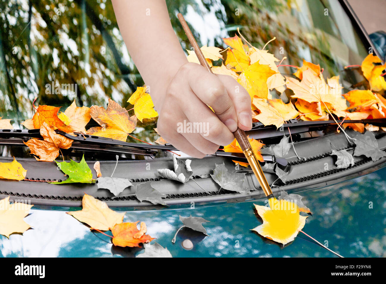 Natur-Konzept - Hand mit Pinsel malt gelbe Herbstlaub auf grünes Auto Stockfoto
