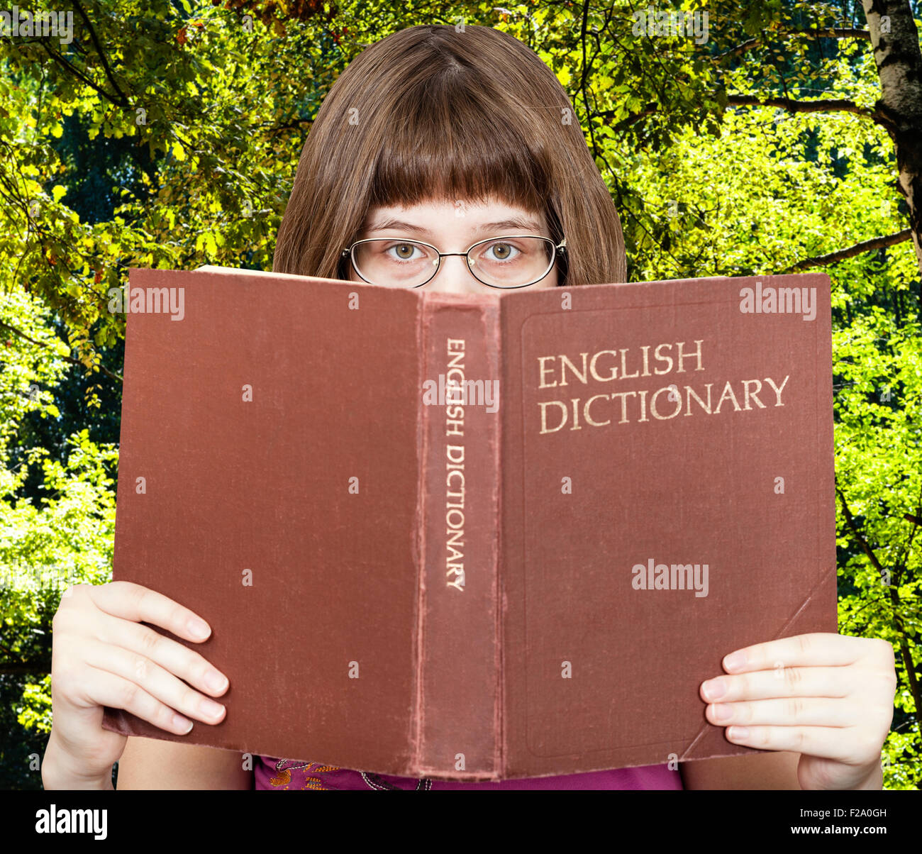 Mädchen mit Brille sieht über English Dictionary Buch mit grünen Sommer Wald auf Hintergrund Stockfoto