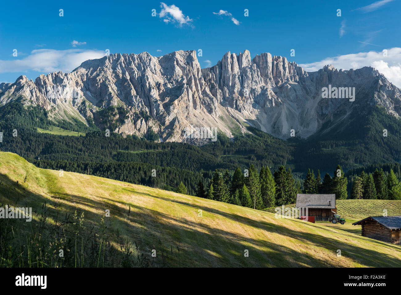 Latemar, Nordseite, Wandergebiet Latemarwald Wald vor, Welschnofen, Alpen, Dolomiten, UNESCO-Weltkulturerbe Stockfoto