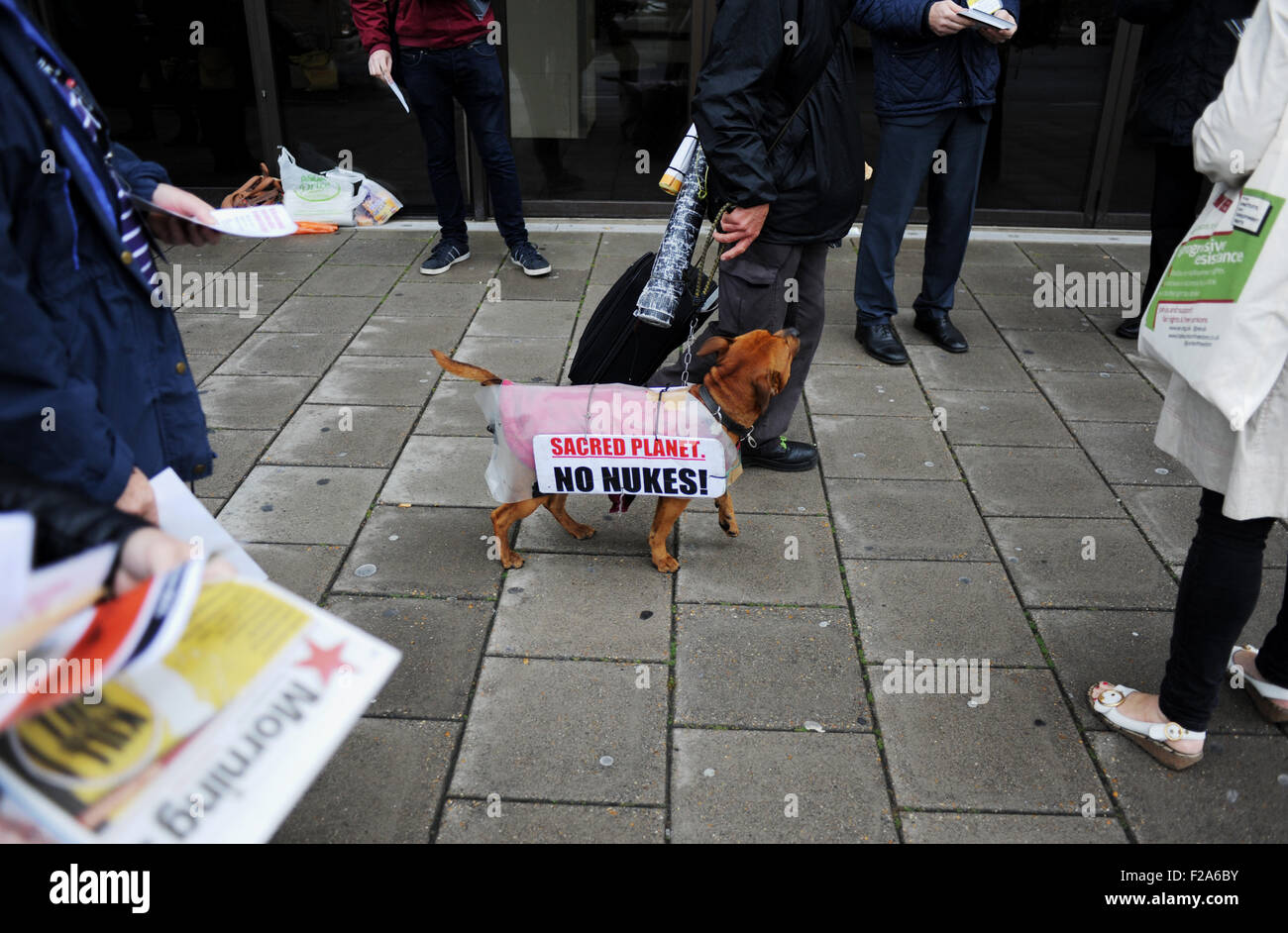 Brighton, UK. 15. September 2015. Eine Anti-nuclear weapon Demonstrant mit seinem Hund trägt eine Protest-Nachricht außerhalb der TUC Konferenz in Brighton Centre diese Woche Credit: Simon Dack/Alamy Live News Stockfoto