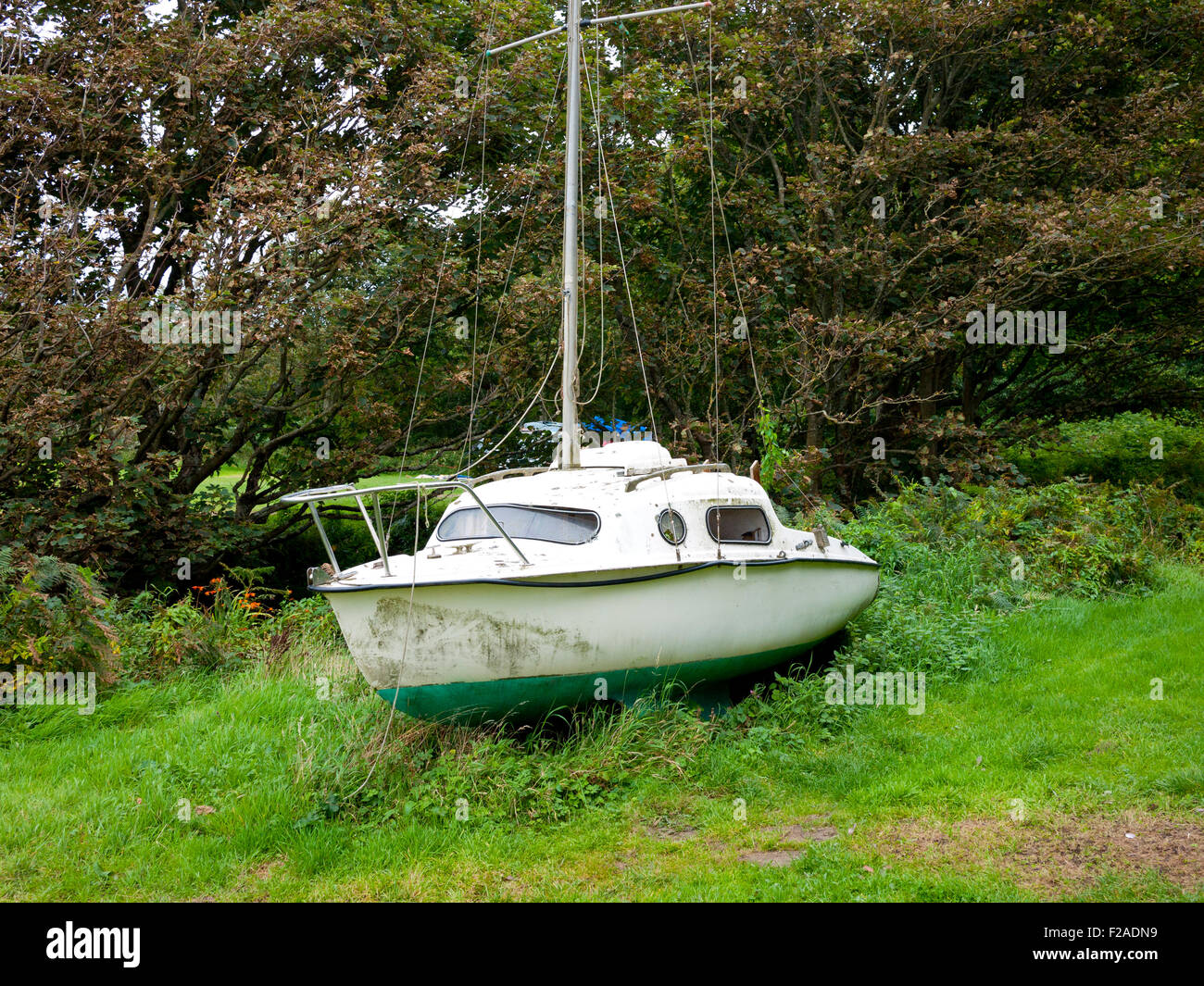 Verlassene Boot überholt durch die Natur an der Küste von North Wales, UK. Stockfoto