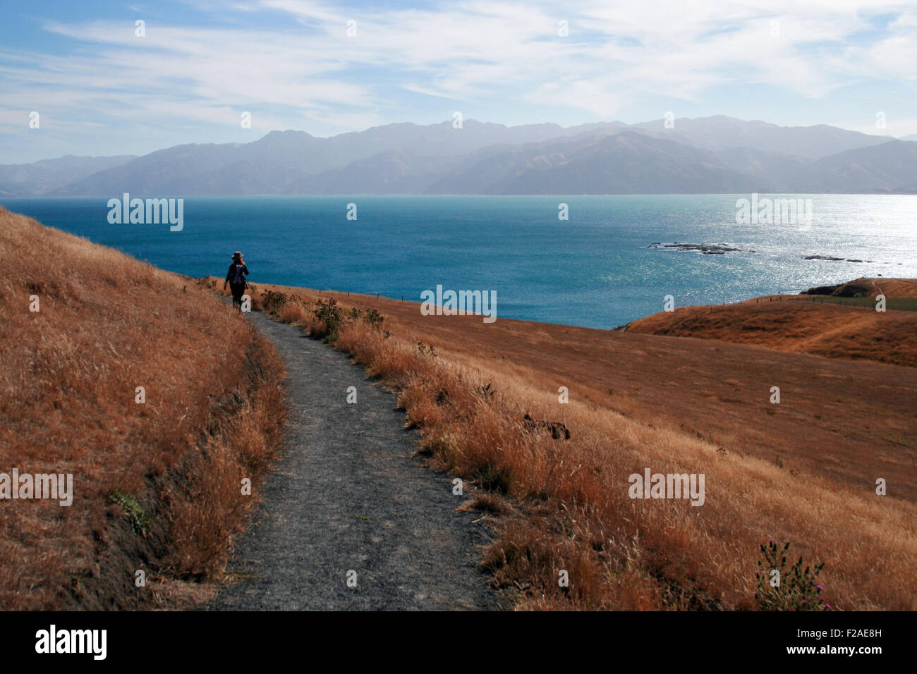 Person zu Fuß auf einem Pfad in Kaikoura, Südinsel, Neuseeland Stockfoto