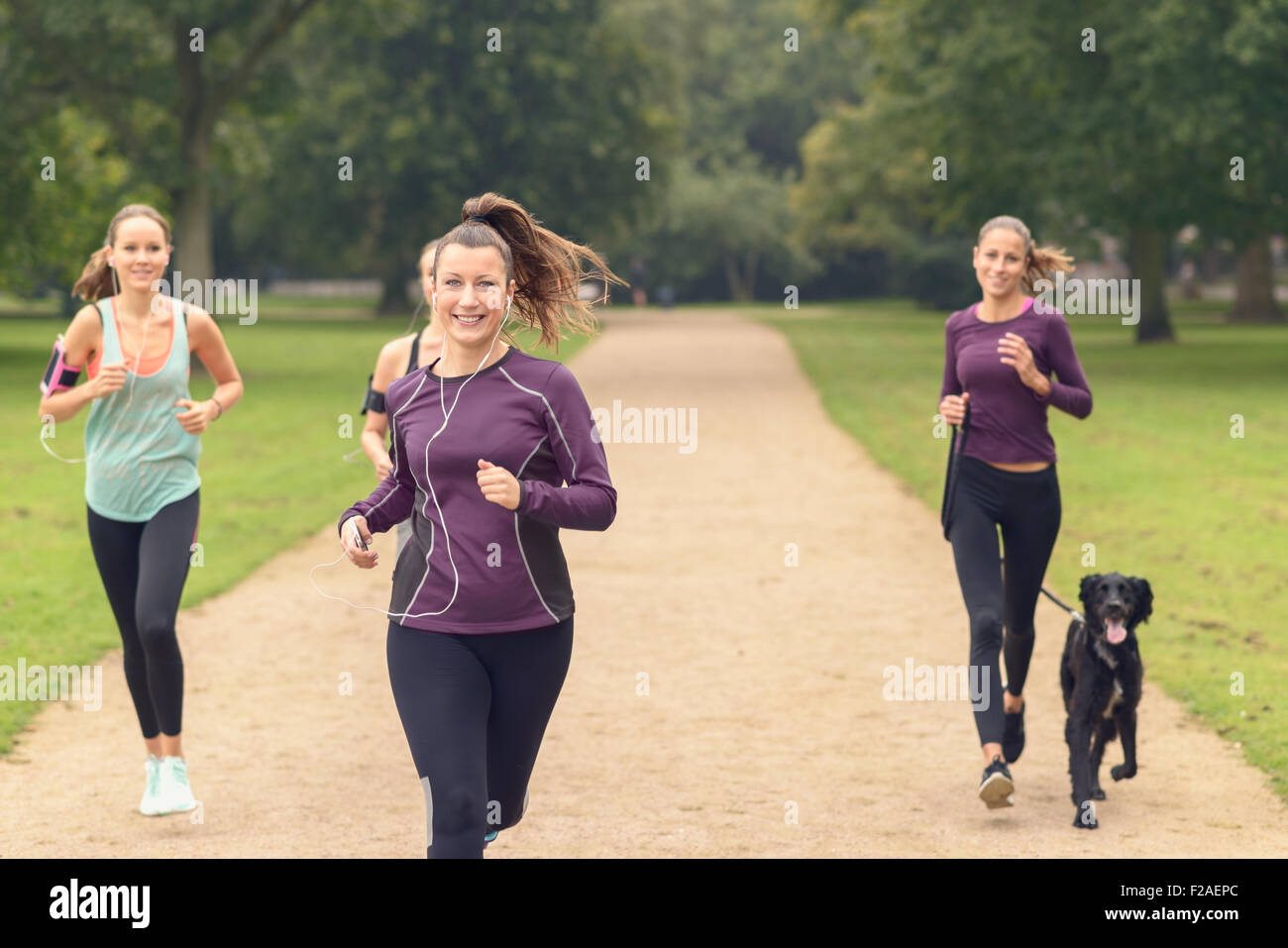 Vier sportliche Mädchen Joggen im Park während One ist mit ihrem Haustier Hund. Stockfoto