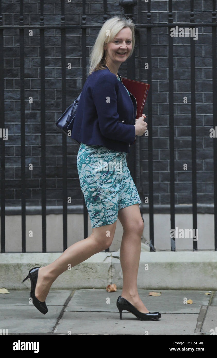 London, UK, 15. September 2015: Liz Truss MP, Secretary Of State for Environment, Food and Rural Affairs gesehen an das Kabinett Stockfoto