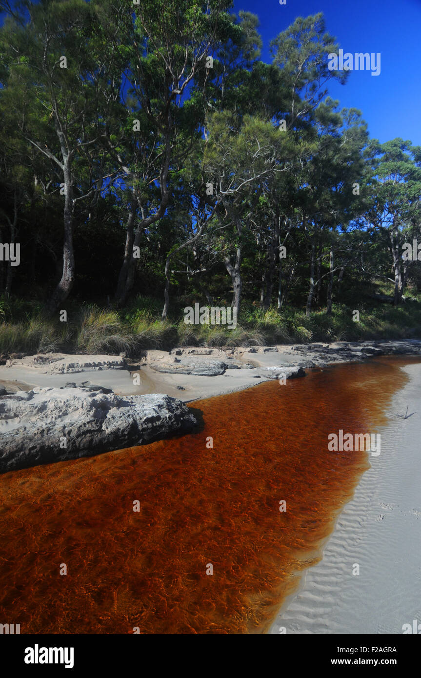 Abrahams Schoß Reserve, Currarong, Shoalhaven, Jervis Bay National Park, NSW, Australien Stockfoto