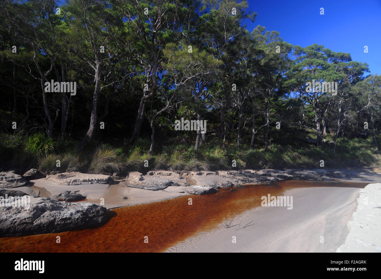Abrahams Schoß Reserve, Currarong, Shoalhaven, Jervis Bay National Park, NSW, Australien Stockfoto