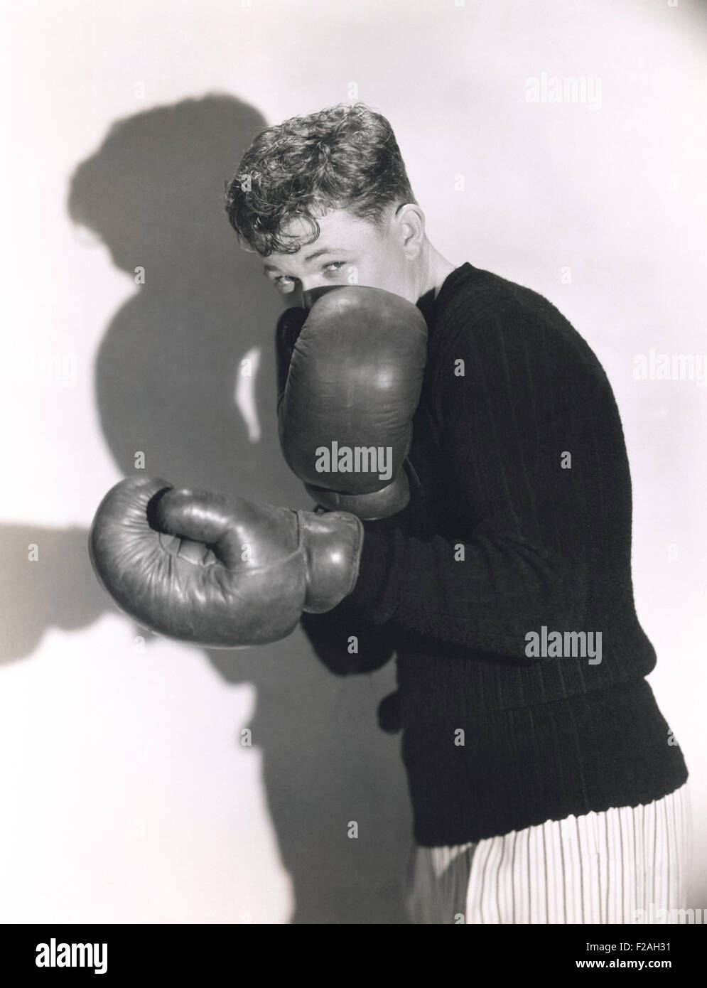 Defensive Boxer (OLVI008 OU045 F) Stockfoto