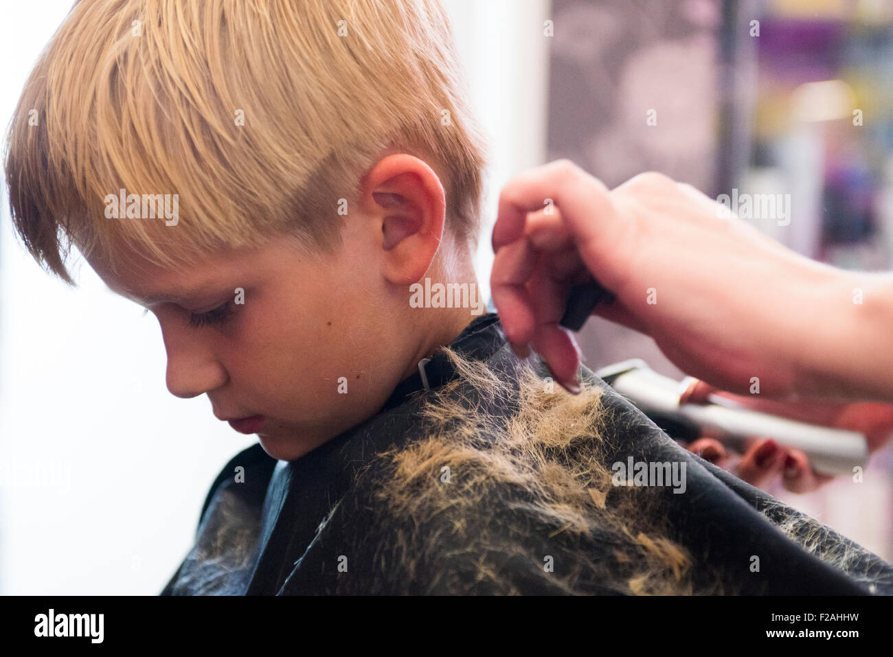 Kind blonde junge bekommen einen Haarschnitt Stockfoto