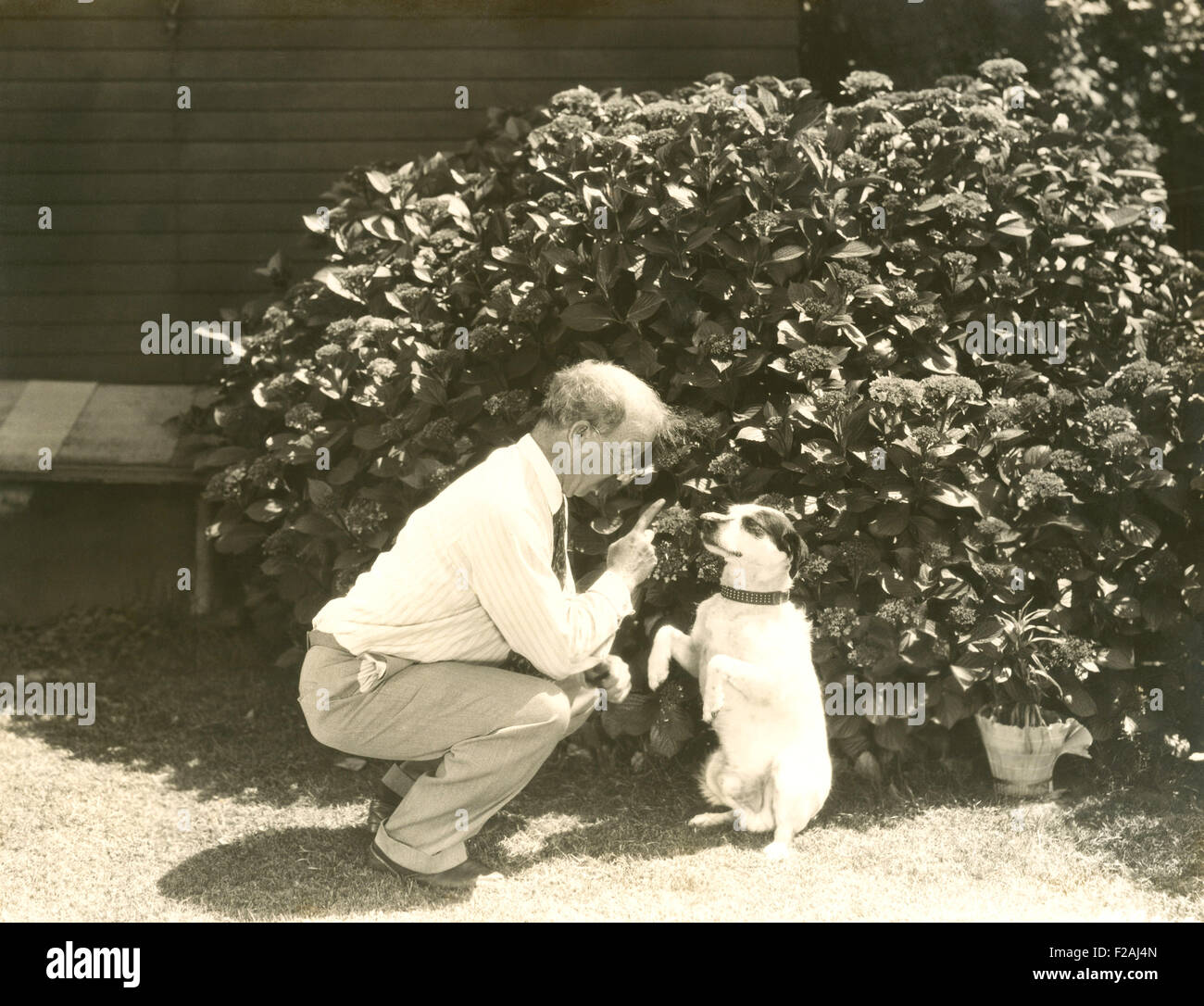 Obedience Klasse (OLVI007 OU842 F) Stockfoto