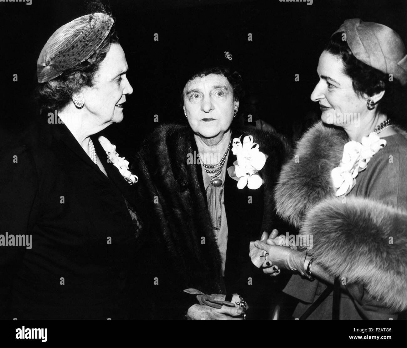 Drei Frauen Träger des "Zusammenseins Award". L-r: Perle Mesta, politische Gastgeberin; Kongressabgeordnete Francis Bolton von Ohio; und Lady Bird Johnson, Ehefrau von Texas Senator und Senat Mehrheit Führer. Die Auszeichnung wurde den Frauen für ihren Geist der Gemeinsamkeit in der Familie oder im bürgerlichen Leben gegeben und wurde gesponsert von der D. C. Business and Professional Women vereinen. (CSU 2015 11 1640) Stockfoto