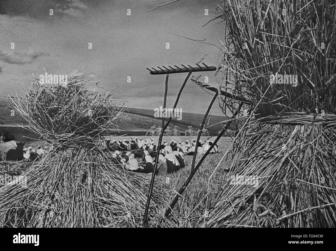 Abendessen Zeit während der Erntezeit auf einer kommunistischen Kolchose. Mehrere Dutzend Frauen sitzen in einem Feld mit Szene umrahmt von Heu-Bundles und Rechen. Ca. 1935-40. In der Nähe von Kiew, Ukraine, UdSSR. (BSLOC 2015 2 254) Stockfoto
