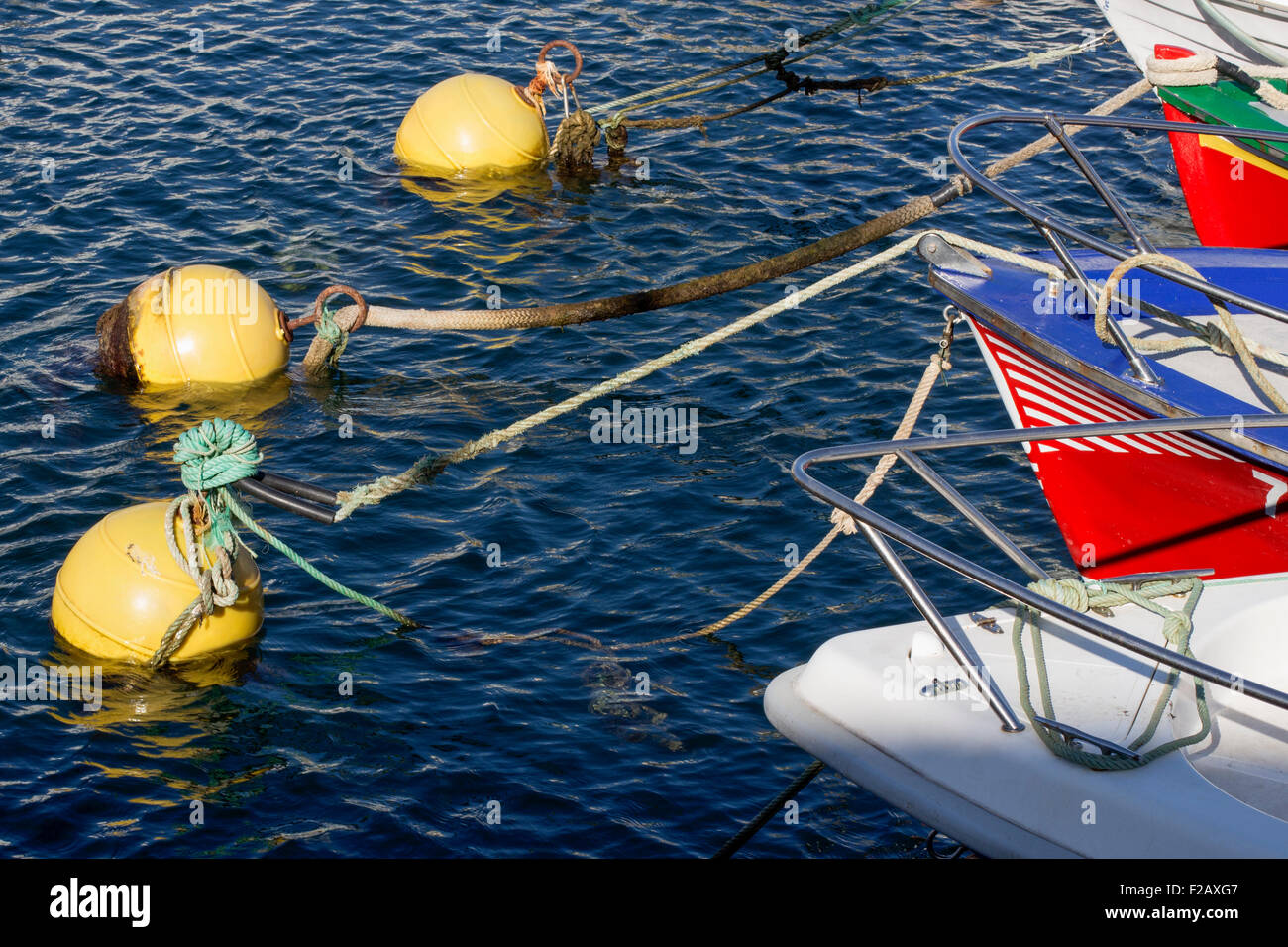 Boote mit gelbe Bojen verbunden. Kanarische Inseln, Spanien Stockfoto