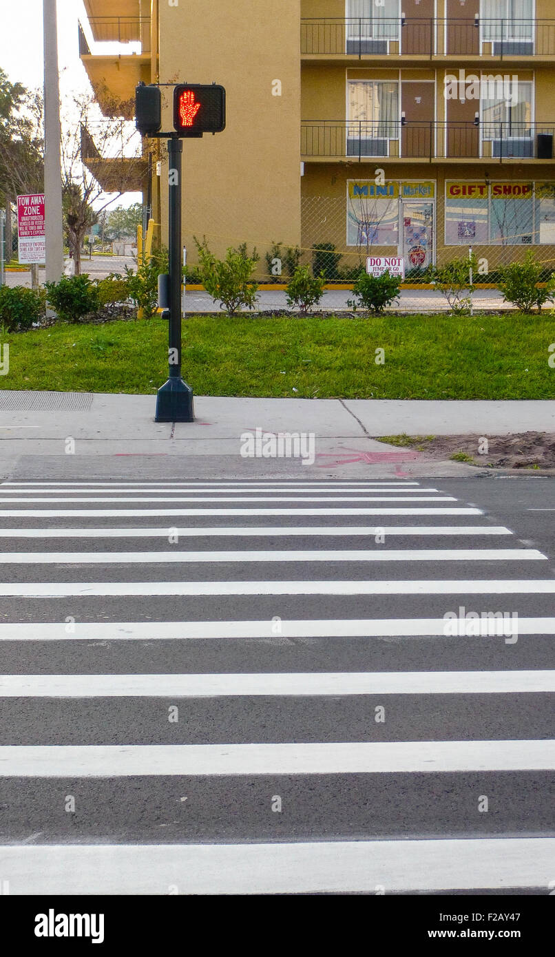 Zebrastreifen mit einem roten "warten" Signal in Orlando, Florida Stockfoto