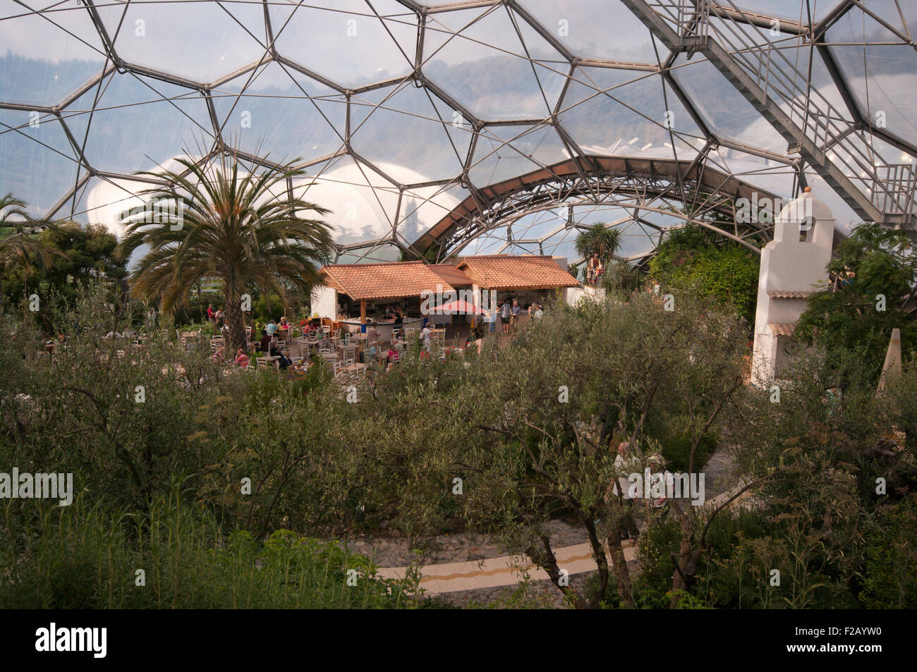 Im Inneren der mediterranen Biom In Eden Centre Cornwall England UK Stockfoto