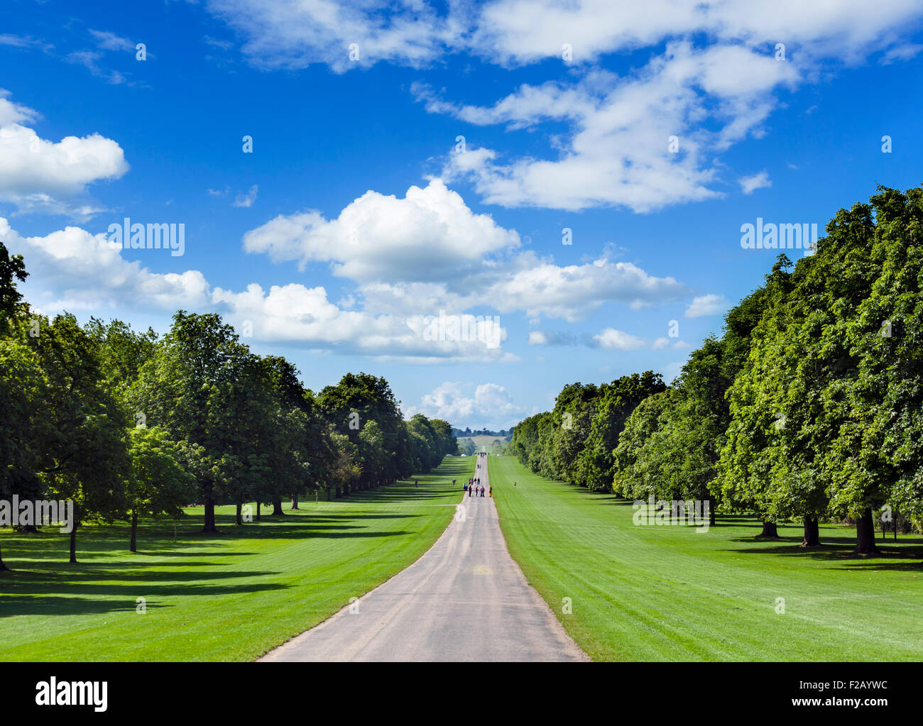 Long Walk Blick nach Süden, Windsor Great Park, Berkshire, England, UK Stockfoto