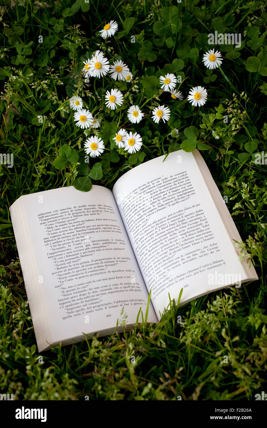 Offenes Buch Gras mit Gänseblümchen Stockfoto