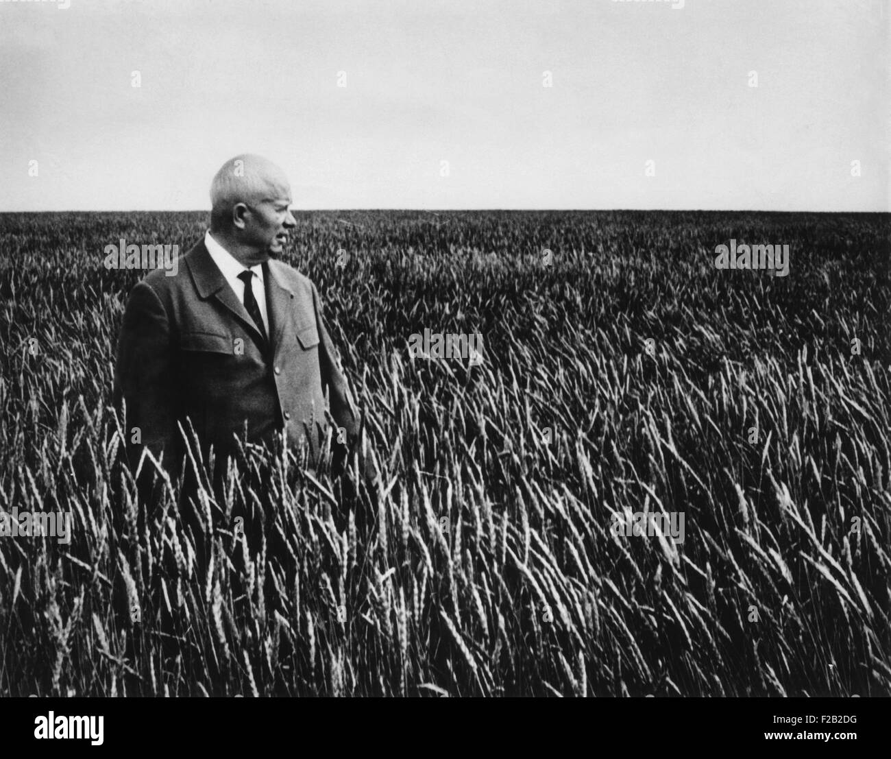 Sowjetischen Ministerpräsidenten Nikita Khrushchev steht in einem Meer von Weizen in Kasachstan winken. September 1964. Einen Monat später das Präsidium unter der Leitung von Stockfoto