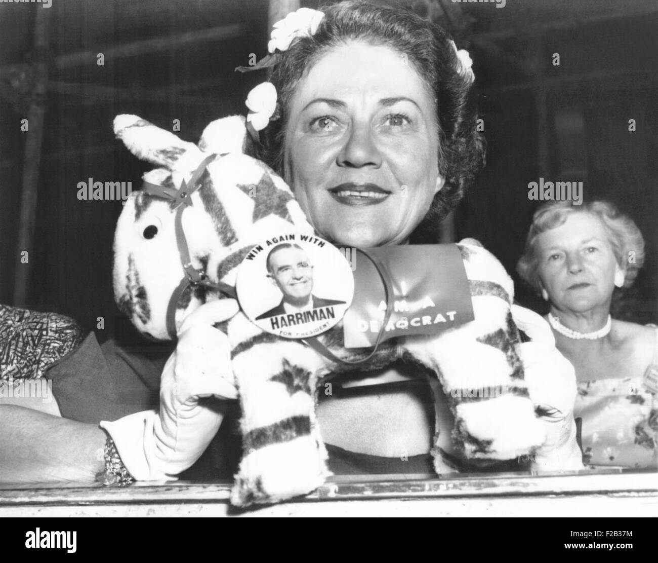Frau Averill Harriman posiert mit einem Spielzeug Esel tragen eine "Harriman for President"-Schaltfläche. 14. August 1956. Ihr Mann gewann die Wahlen als Gouverneur des Bundesstaates New York 1955, aber lief zweiten Adlai Stevenson für die Nominierung. (CSU 2015 7 270) Stockfoto
