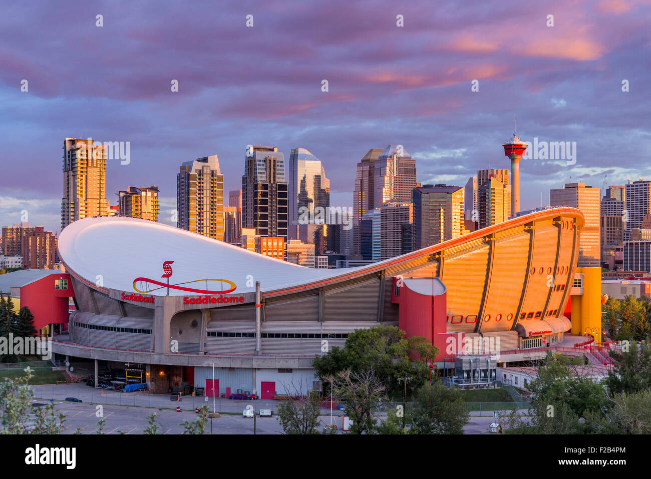 Saddledome und Skyline von Calgary, Alberta, Kanada Stockfoto