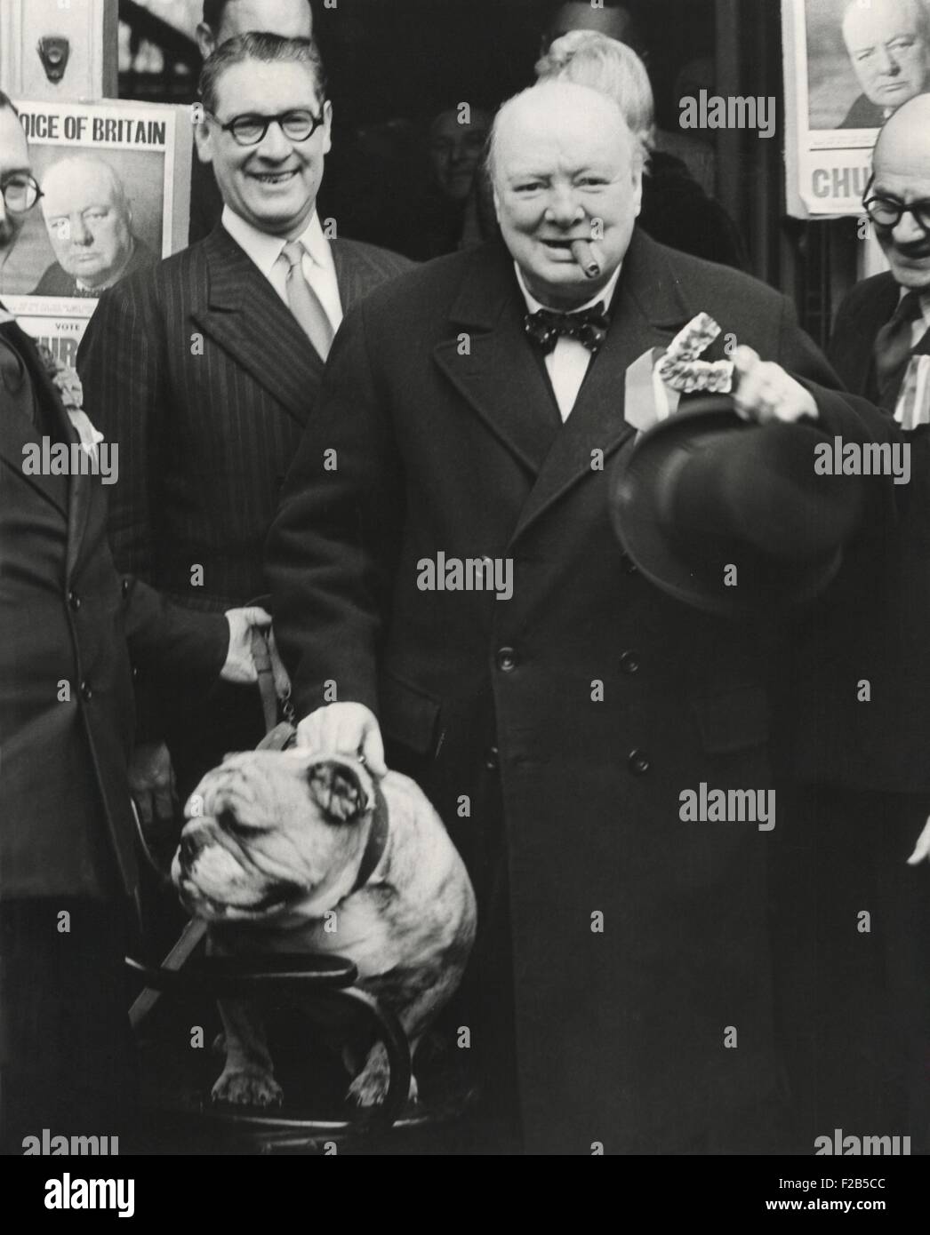 Party Leader Winston Churchill eine Rede vor dem konservativen Club, Wanstead, England. Er posiert mit ihrem Maskottchen Bulldog 'Gerste Mähen Token' bei einer Last-Minute-Führung durch seinen Wahlkreis. 23. Februar 1950. -(BSLOC 2014 17 59) Stockfoto