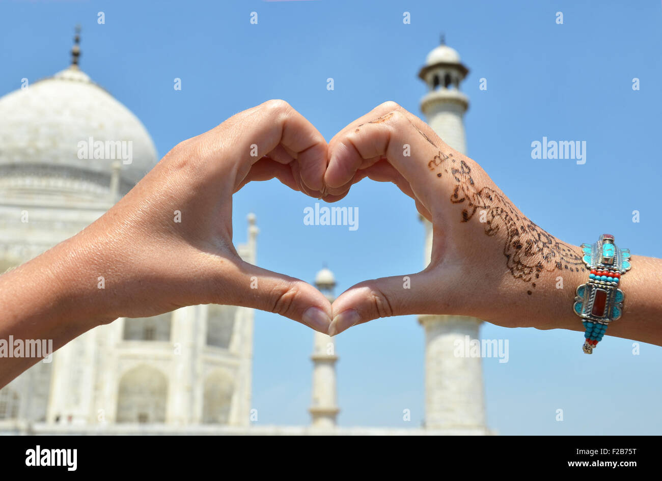 Herzförmige Blätter gegen Taj Mahal. Agra, Indien Stockfoto