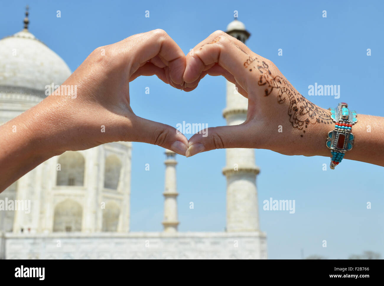 Herzförmige Blätter gegen Taj Mahal. Agra, Indien Stockfoto