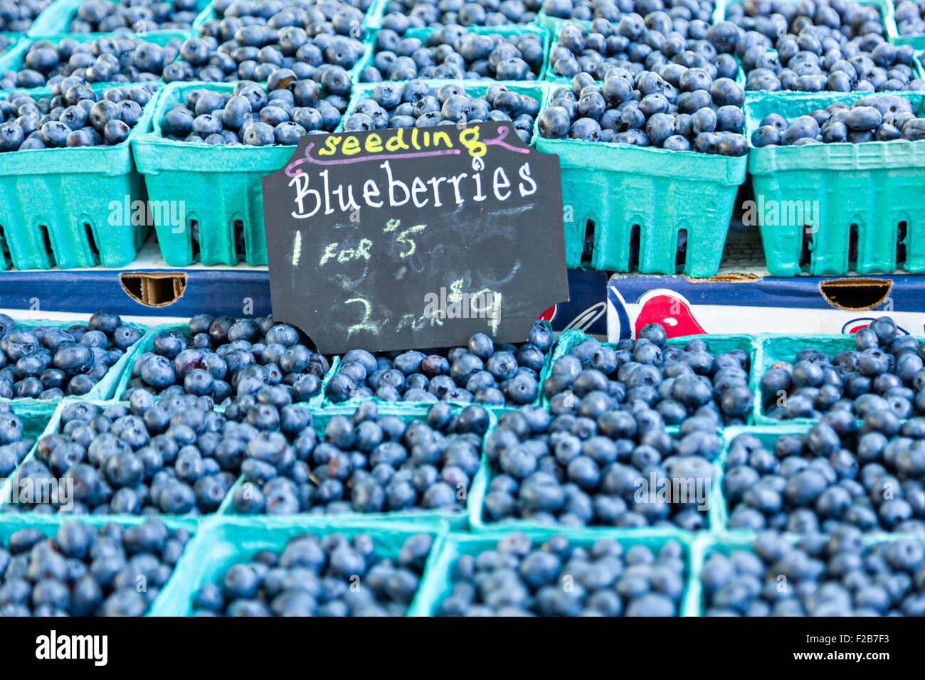 Frische Heidelbeeren zum Verkauf an einen Bauernmarkt in Wicker Park 2. August 2015 in Chicago, Illinois, USA Stockfoto