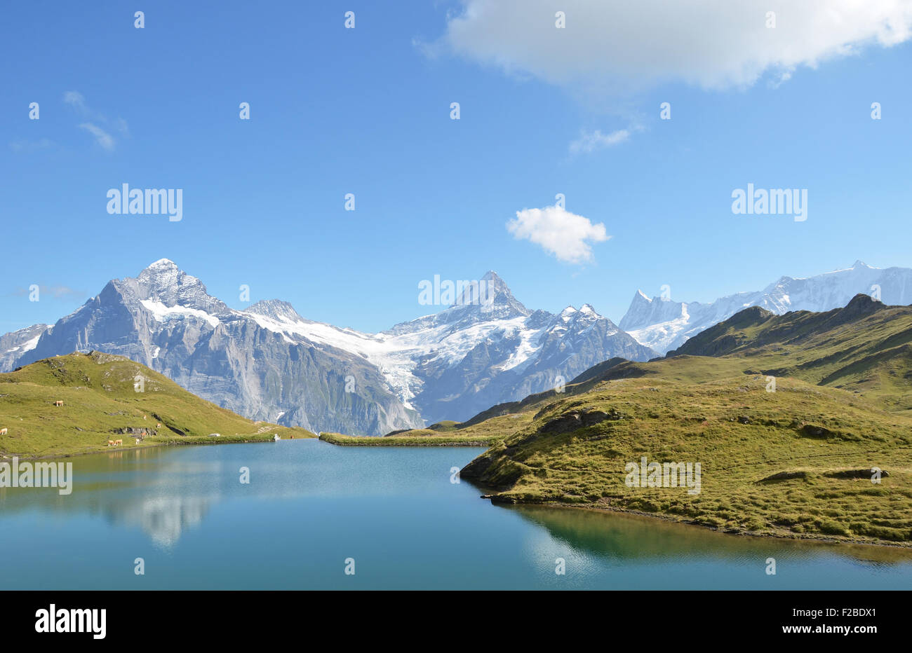 Bachalpsee-See im Berner Alpen Stockfoto