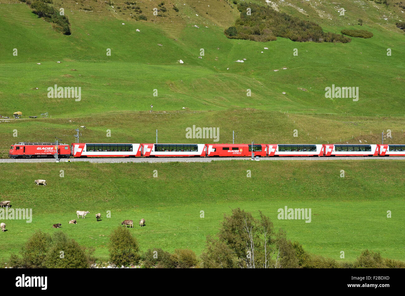 Schweiz - SEP-16: Der Glacier Express ist die berühmteste Bahn der Welt. Es fährt von Zermatt nach Davos oder St. Morit Stockfoto